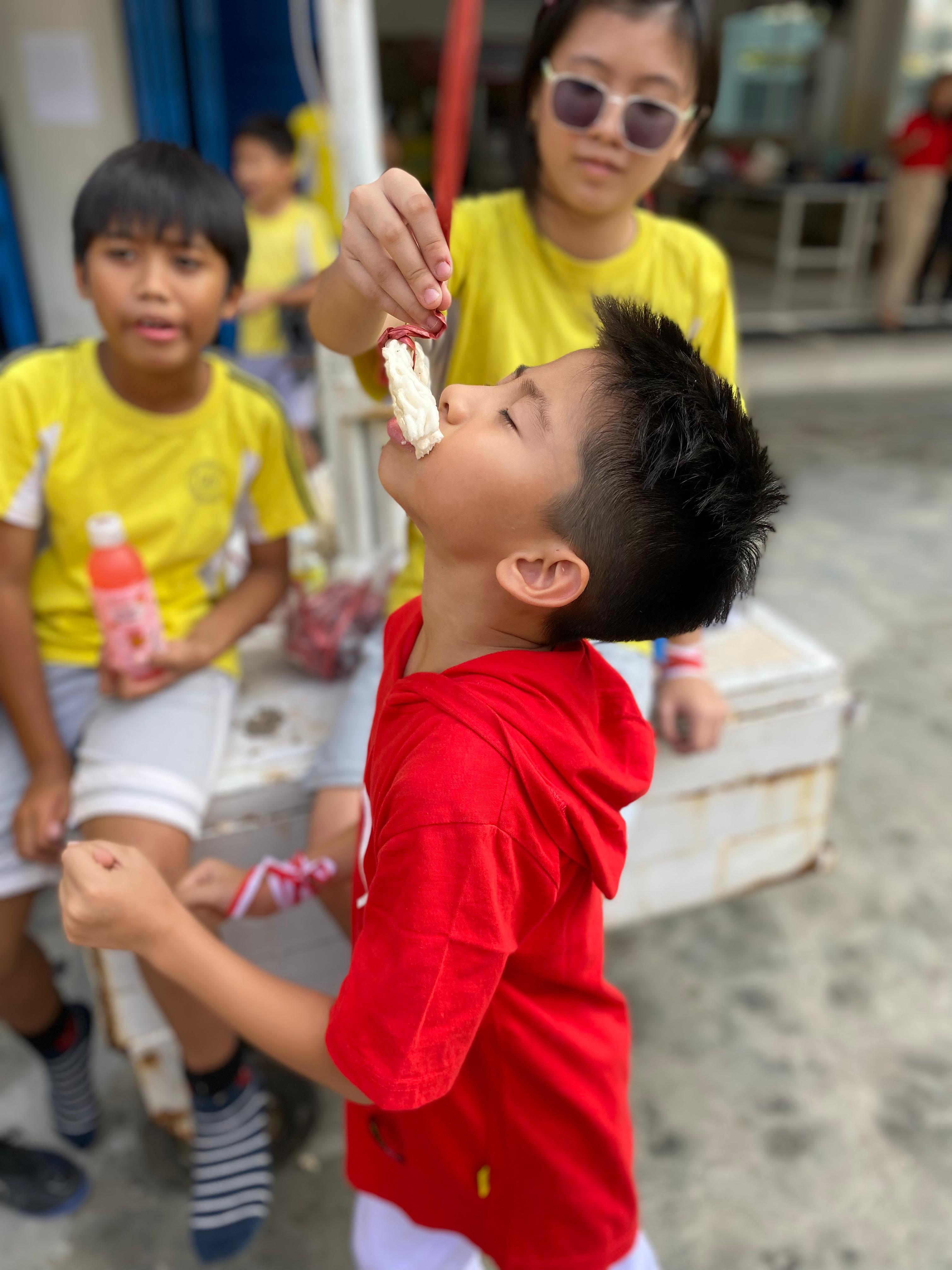 Primary Program